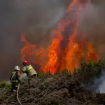 Los gremios del sector forestal recordaron que con los incendios forestales miles de personas pierden su fuente laboral, brecha que no se reduce con la actual propuesta.