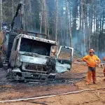La asociación valoró la pro-actividad y coordinación para mejorar las cifras que dicen relación con las hectáreas de bosques perdidas por incendios en el país.