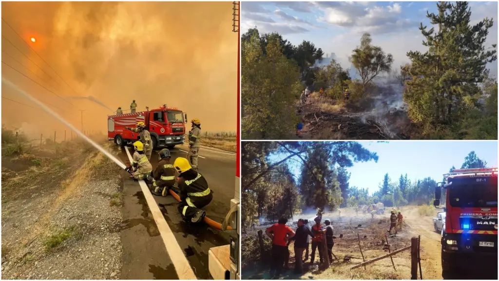 Querella por incendios forestales en Quilleco, La Tribuna