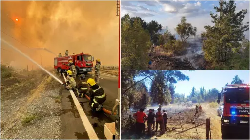 Presentan querella y acusan intencionalidad en incendios forestales en Quilleco