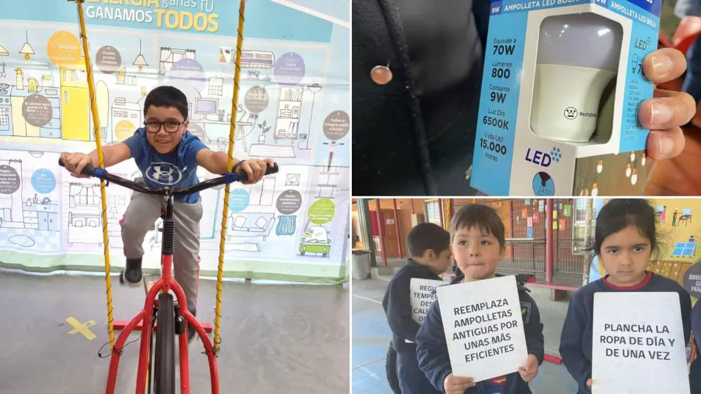 Impulsan el mes de la eficiencia energética con diversas actividades en el Biobío, Cedida