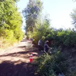 Realizan limpieza de fajas en zonas rurales de Antuco: municipio acusa de “excesiva demora” a Vialidad del MOP