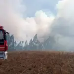 AHORA: Declaran Alerta Roja para la Comuna de Tirúa por incendio forestal, Red Noticiero Animal