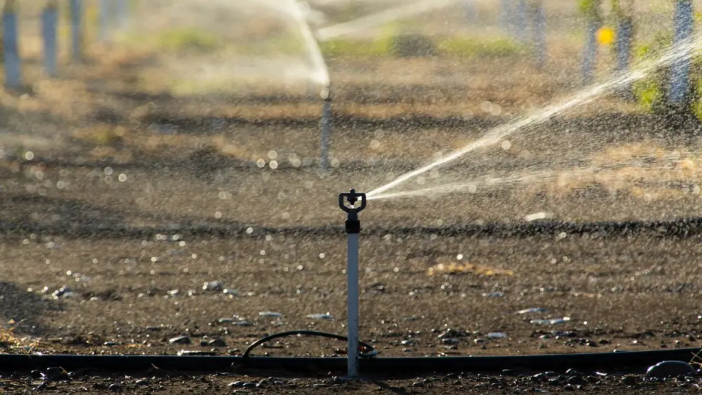 El uso de riego tecnificado fue y ha sido una de las tantas respuestas de los agricultores para evitar los efectos negativos del cambio climático sobre las plantaciones.