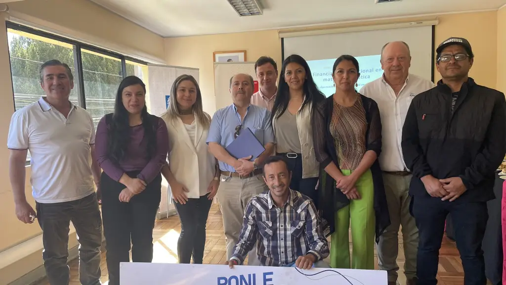 Reconocen a cuatro pymes de la provincia de Biobío por su desarrollo energético, Cedida