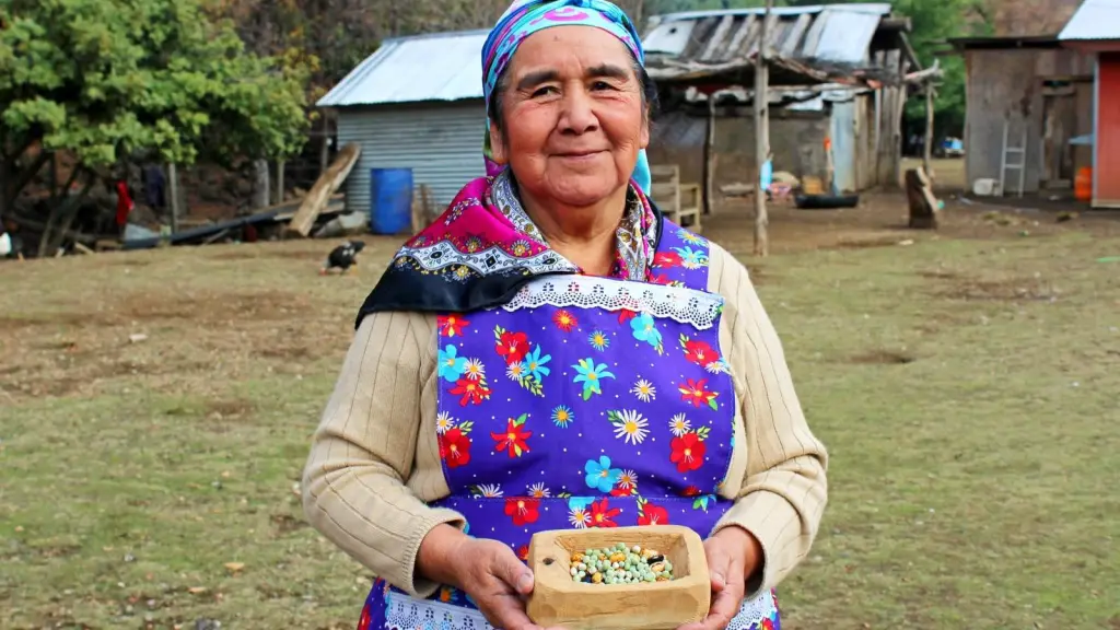Mujeres agricultoras INDAP.
