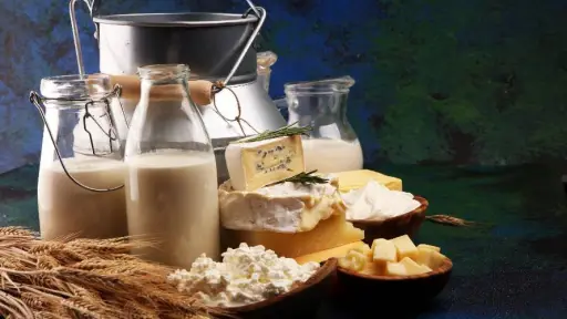 Gremios lácteos buscan potenciar las exportaciones con marca sectorial Chilemilk