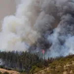 Temporada de incendios forestales 2023-2024.