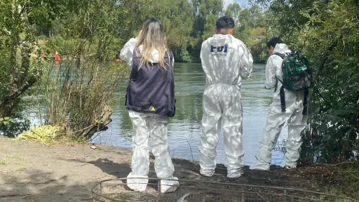 PDI investiga hallazgo de cadáver encontrado en la ribera del río Toltén  