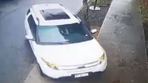 Video muestra cómo vehículo se estaciona en la acera y daña plantas