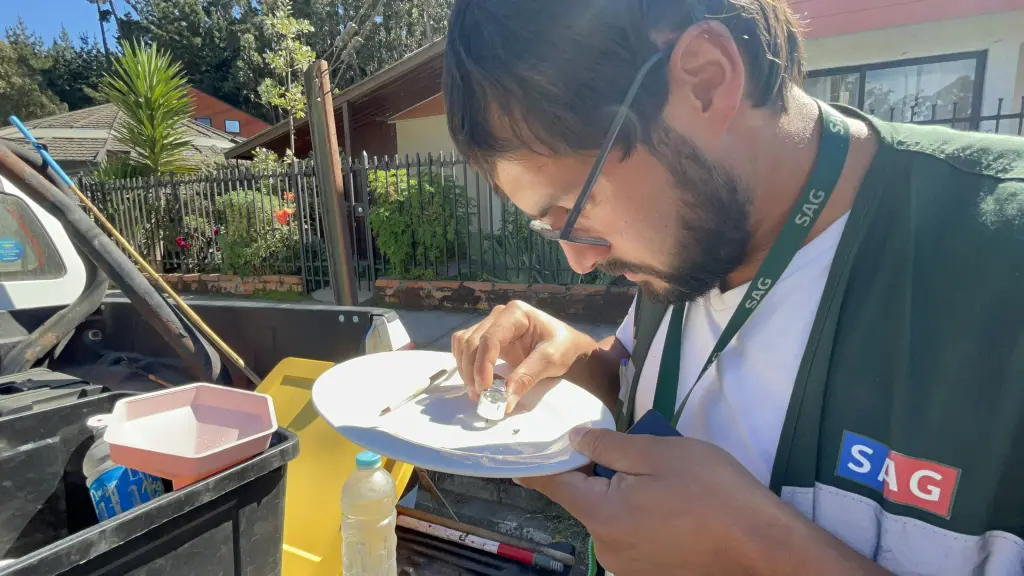 Simulacro de emergencia sanitaria por Mosca de la Fruta SAG Biobío.