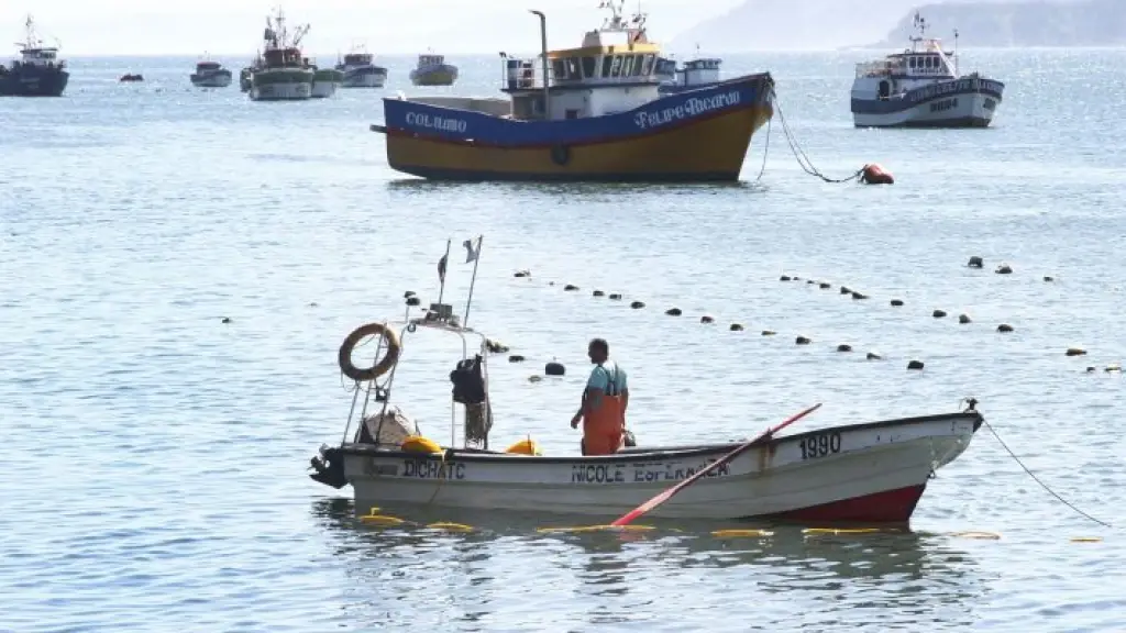 Pesca artesanal Chile.