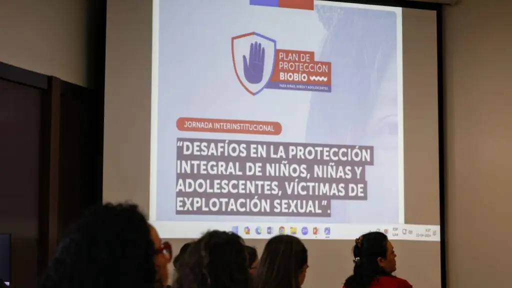 Lanzan plan de protección para combatir la explotación sexual infantil en Biobío, Seremi de Desarrollo Social