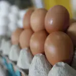 Las medidas permiten dar mayor holgura al sector productor de huevos luego de temporadas difíciles traídas por la gripe aviar, junto con el alza en sus costos de producción.