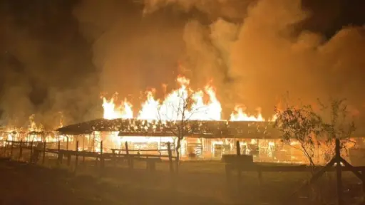 Mundo ecuestre lamentó destrucción de club de equitación María Antonia ante dantesco incendio 