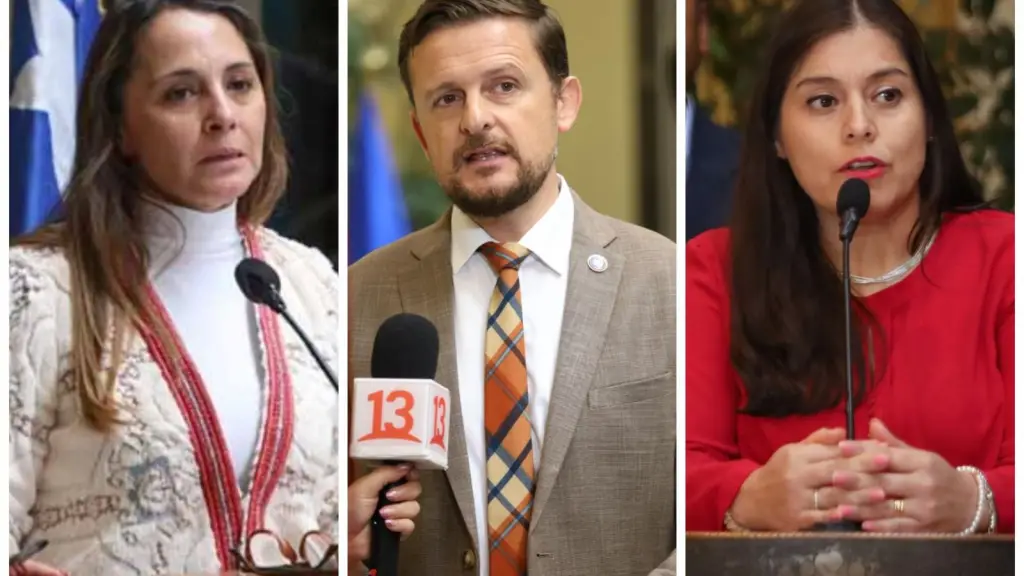 Diputados de oposición solicitan colaboración de Unicef. , cedida