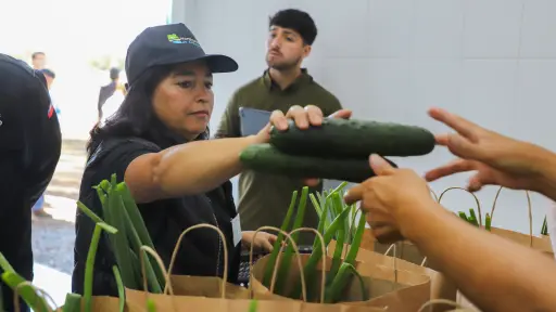 Productores de INDAP Arauco concretan primera venta de hortalizas a Sodexo