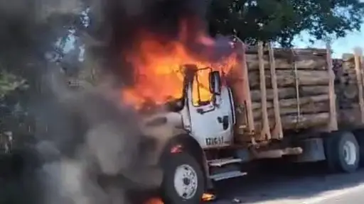 AHORA: Reportan incendio de camión en la ruta 5 sur a la altura de Mulchén