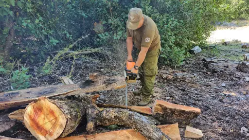 Carabineros de la Patrulla Indígena apoyan a adulta mayor a prepararse para el invierno en Alto Biobío