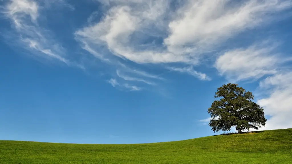 árbol, nubes, colina, Pixabay