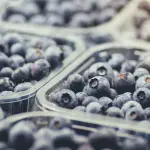 Las olas de calor, sumada a las lluvias de contra-estación afectaron la condición de la fruta este año, que en algunos casos no debería haber sido enviada.