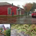 Corte de energía y caída de árboles: el saldo por las lluvias del 29 de abril en Biobío