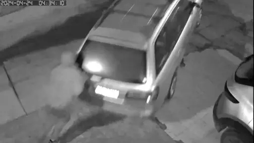 VIDEO: A empujones, delincuentes roban auto en la villa España de Los Ángeles