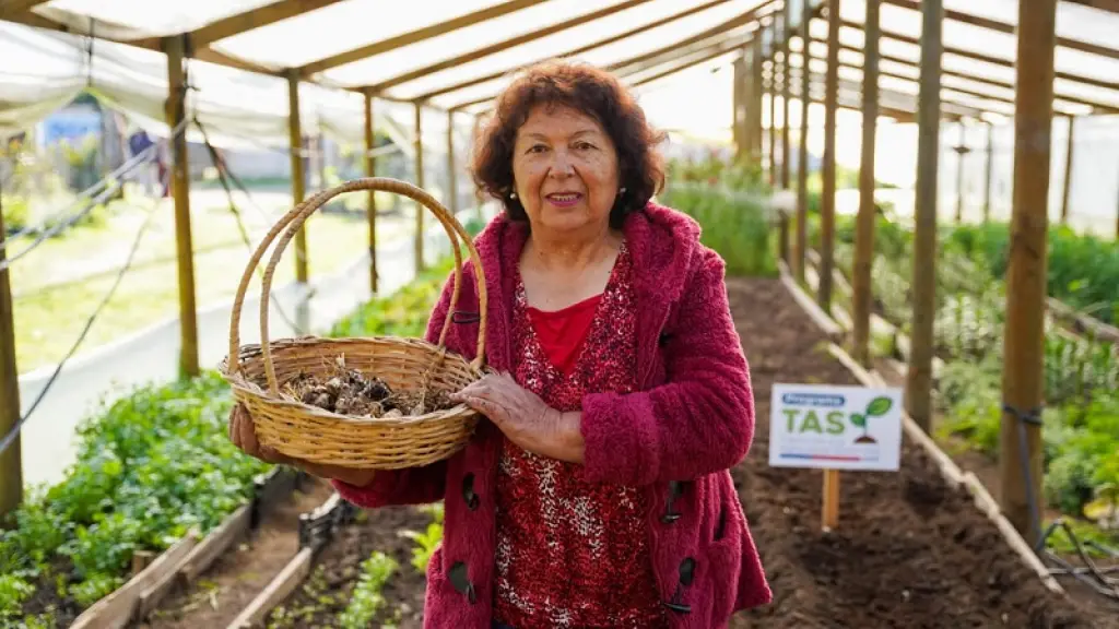 A las asesorías y el trabajo junto a los beneficiarios su suman prácticas y acciones que permiten el tránsito hacia una agricultura sostenible.