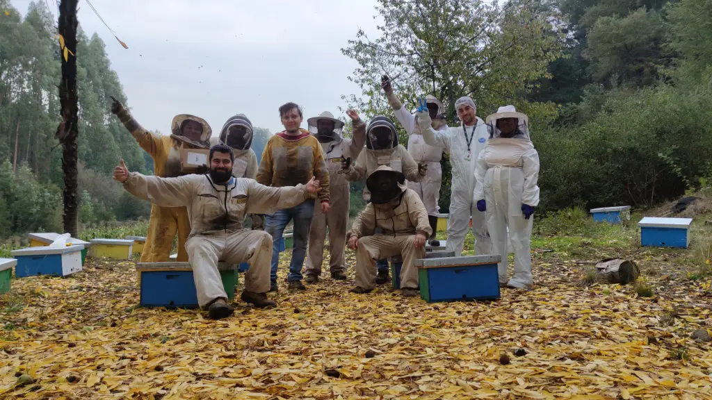 Las razas de abeja exportadas desde Santa Bárbara se adaptan muy bien al frío y pueden comenzar la producción apenas el polen está disponible. 