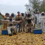 Las razas de abeja exportadas desde Santa Bárbara se adaptan muy bien al frío y pueden comenzar la producción apenas el polen está disponible. 
