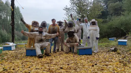 Apicultor de Santa Bárbara diversifica su negocio: De la miel a la exportación de abejas reinas