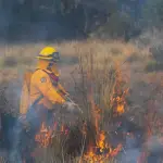 Las licitaciones de aeronaves para la próxima temporada de incendios comienzan en invierno y en ésta época dichos recursos se desmovilizan conforme baja la ocurrencia.