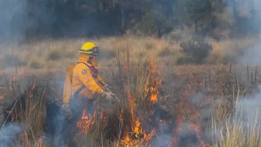 Conaf explica trabajo realizado en la temporada de contra-estación para evitar incendios forestales