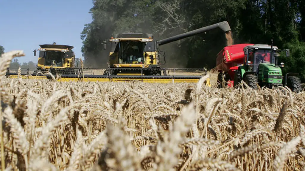 Los otros costos relevantes en el precio del pan consisten en el de los combustibles, la mano de obra y otros gastos indirectos en los que tienen que incurrir los productores.