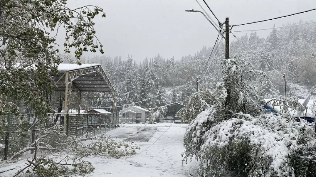Nieve en Antuco, Cedida 