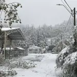 Nieve en Antuco, Cedida 