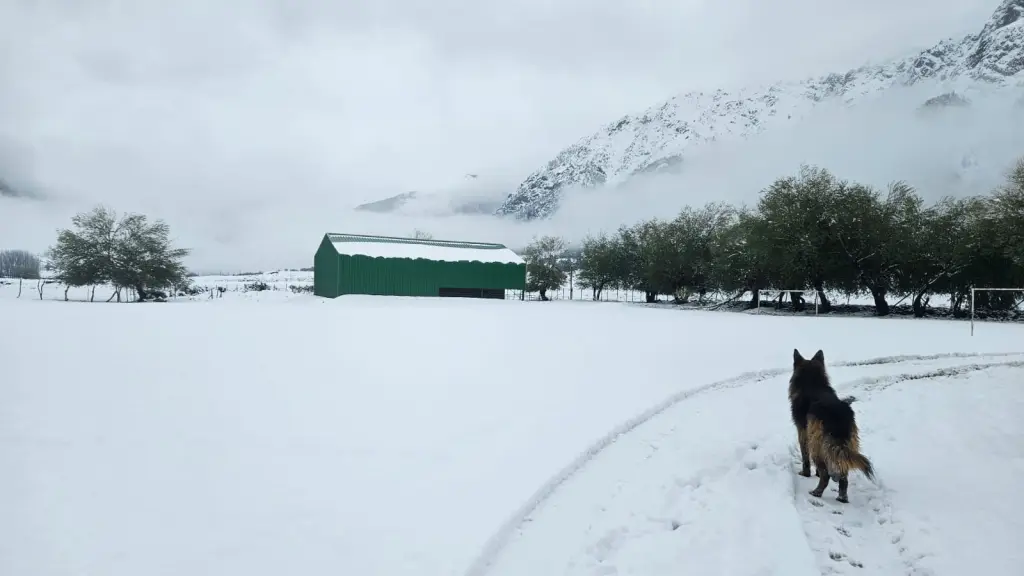 Nieve en Butalelbun 3 | Cedida 