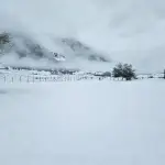 Nieve en Butalelbún 7, Cedida 
