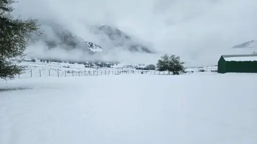 Declaran Alerta Amarilla en Biobío por sistema frontal con precipitaciones, viento y riesgo de remociones en masa