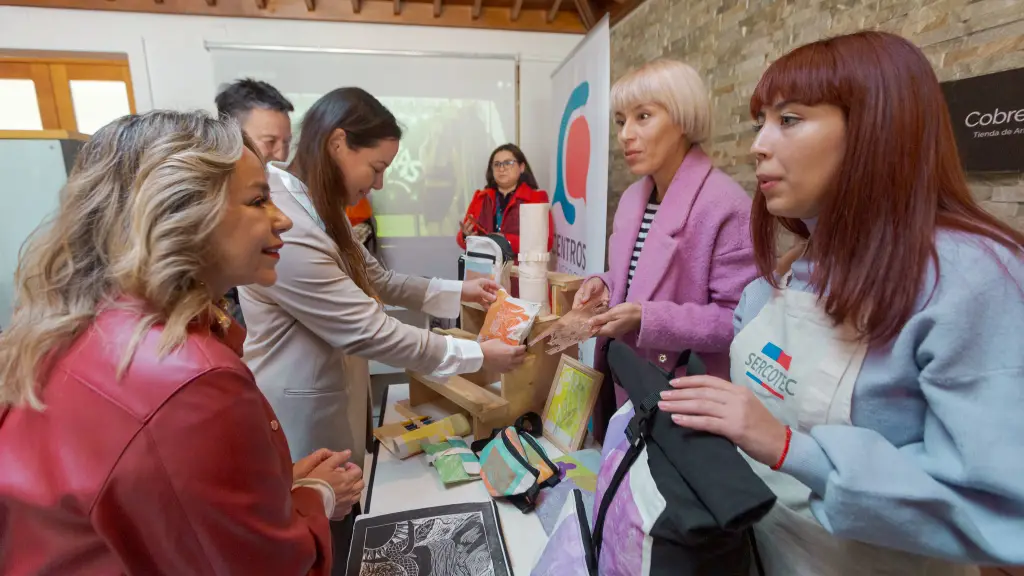 Capital Semilla Emprende Sercotec.