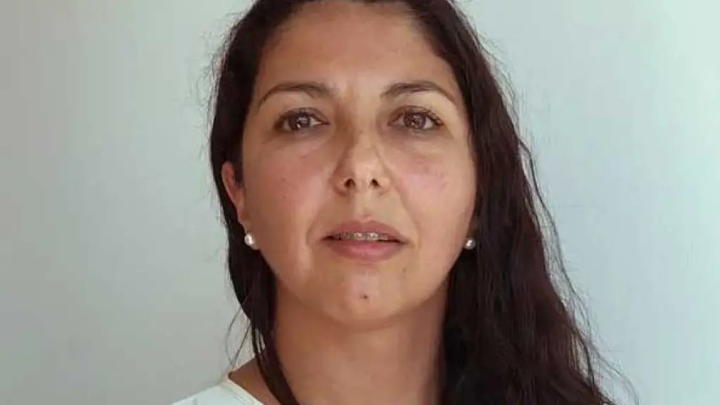 Daniela Espinoza, Seremi de Energía