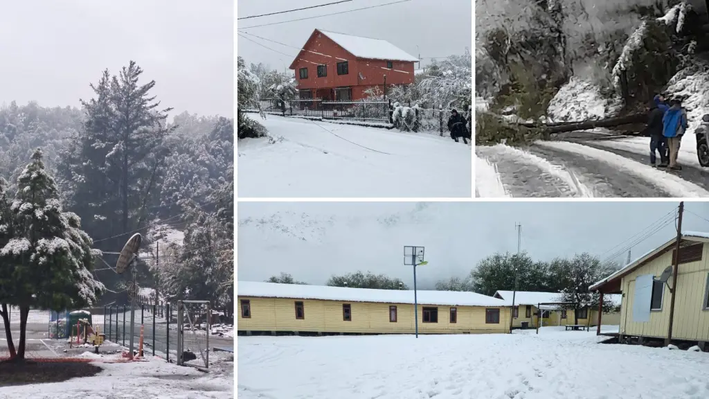 Cortes de caminos y de energía dejó primera gran nevazón en tres comunas de la provincia de Biobío