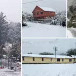 Cortes de caminos y de energía dejó primera gran nevazón en tres comunas de la provincia de Biobío