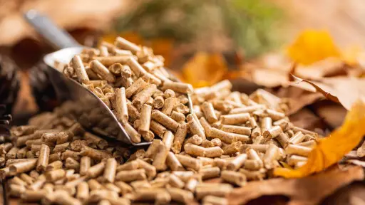 Productores aseguran disponibilidad de pellets y biomasa para el invierno