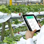 El cooperativismo y dialogar sobre técnicas tecnológicas entre agricultores es algo que no se hace de manera tan potente en Chile, pero que podría impulsar. 