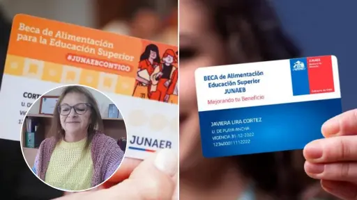 Contraloría ordenó a Junaeb retrotraer licitación para la empresa que se adjudicó la beca BAES