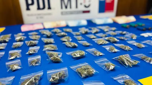 Desarticulan cuatro puntos de venta de drogas en la comuna de Santa Bárbara