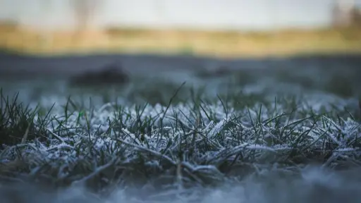 Experto explicó lo bueno y lo malo de las heladas para la actividad agropecuaria