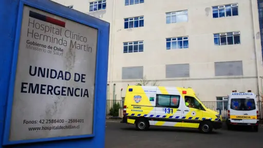 Tercera muerte por influenza tipo A en Ñuble: Mujer falleció por shock séptico pulmonar