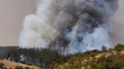 Cierran temporada de incendios forestales destacando coordinación y reducción de siniestros